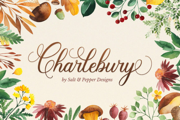 Charlbury Script: A Modern Script Font for Elegant Projects