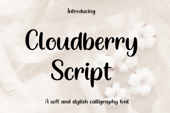Cloudberry Script: A Modern Calligraphy Font for Warm Branding