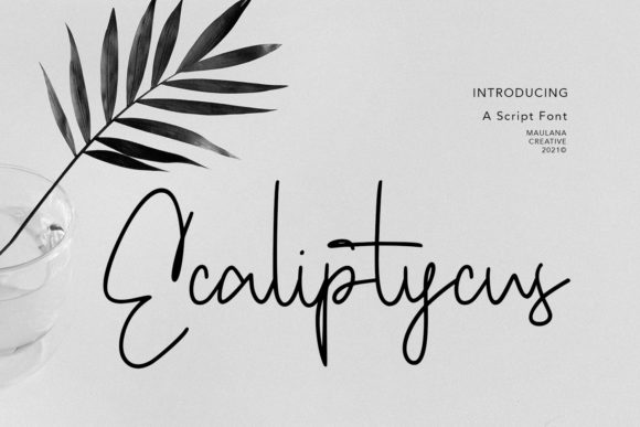 Ecaliptycus Script: A Handwritten Font for Elevated Design