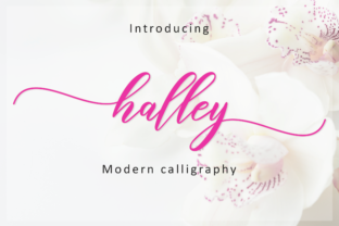 Halley Script: A Modern Font for Elegant Branding