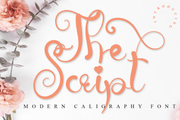 The Script: A Guide to This Elegant Handwritten Typeface